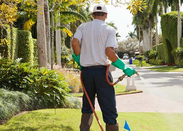 About Rainbow City AL Pest Control
